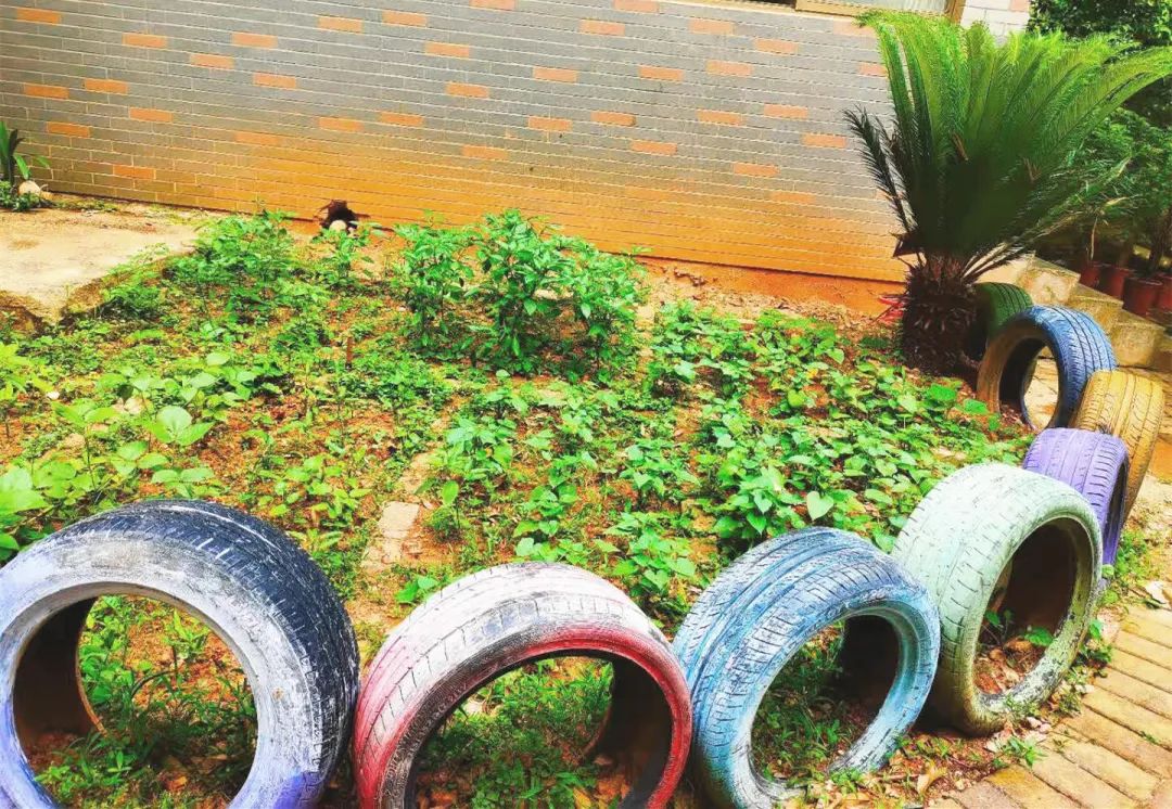 d17783e1844dbabb565bb519bcd79216.jpg d17783e1844dbabb565bb519bcd79216.jpg