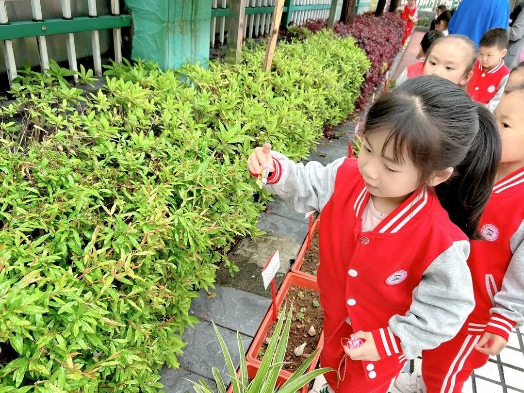 afd29ae7425197027888b7fc32160209.jpg afd29ae7425197027888b7fc32160209.jpg